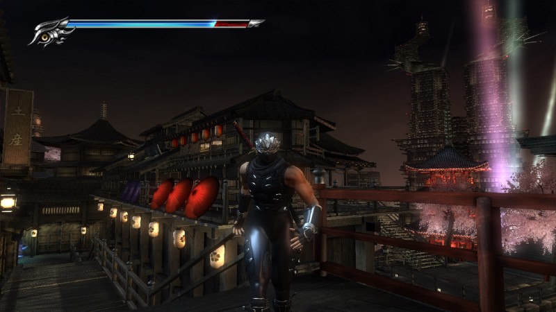 Ninja Gaiden series